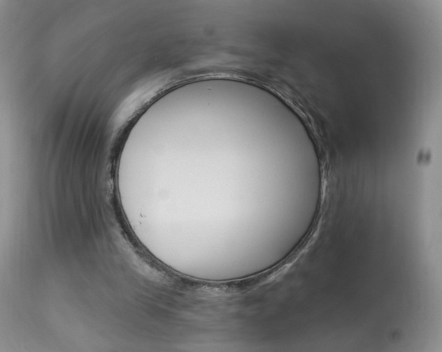 X0000113940245200909250946