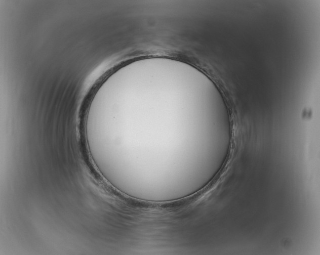 X0000113940246200909250946