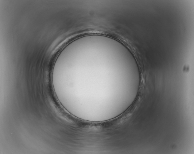 X0000113940247200909250946