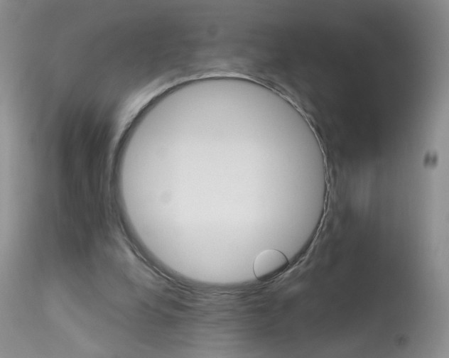X0000113940248200909250946