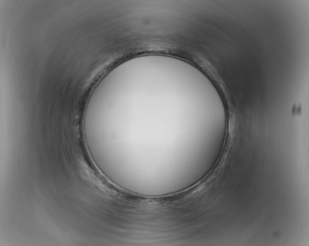 X0000113940249200909250946