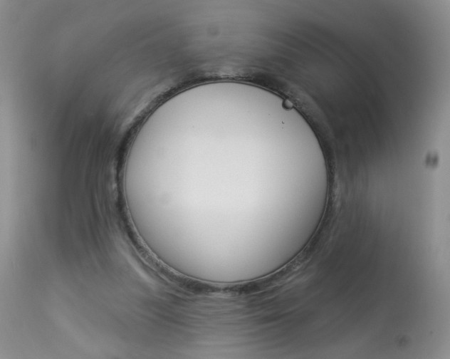 X0000113940251200909250946