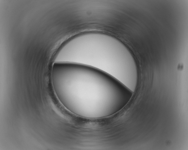 X0000113940252200909250946