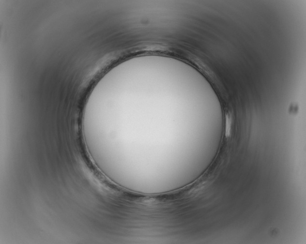 X0000113940253200909250946