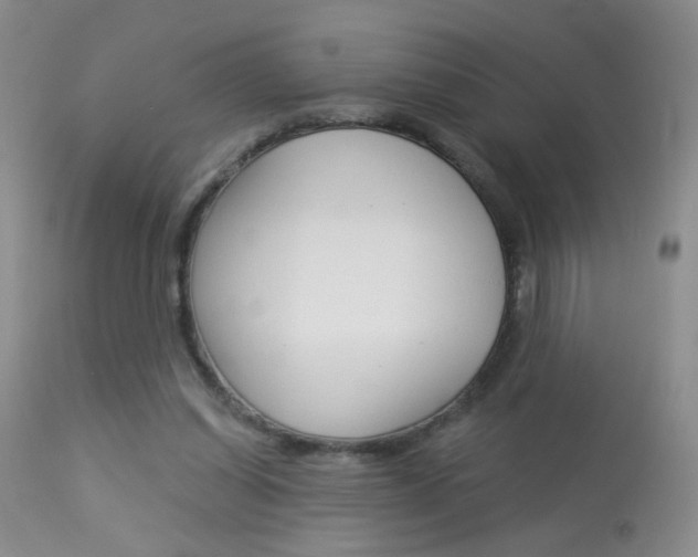 X0000113940254200909250946