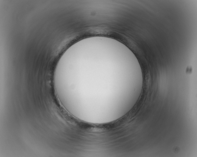 X0000113940255200909250946