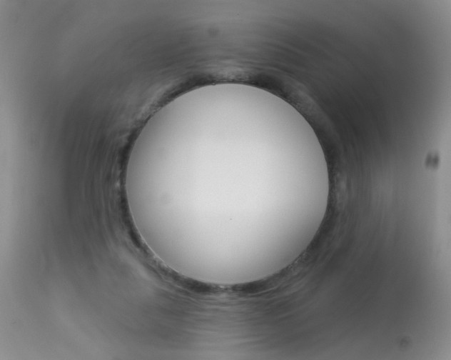 X0000113940259200909250946