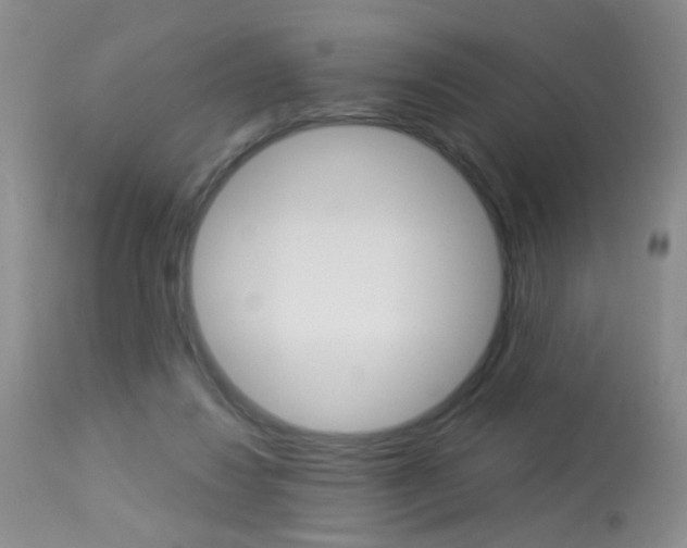 X0000113940260200909250946