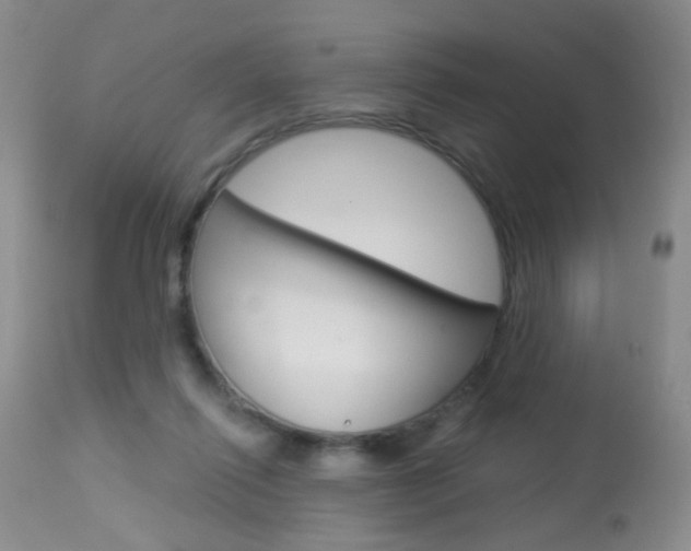 X0000113940262200909250946