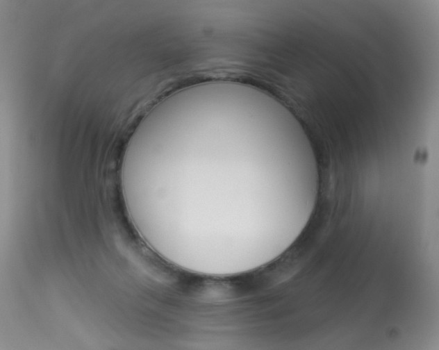 X0000113940263200909250946