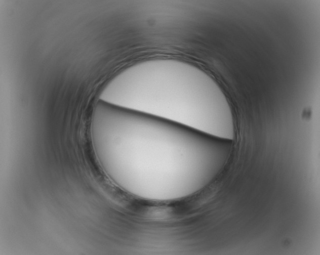 X0000113940266200909250946