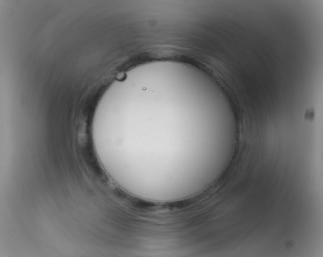 X0000113940267200909250946