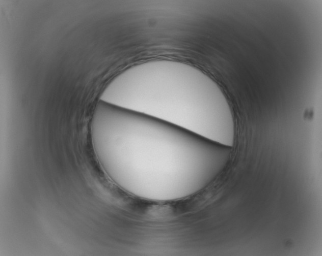 X0000113940271200909250946