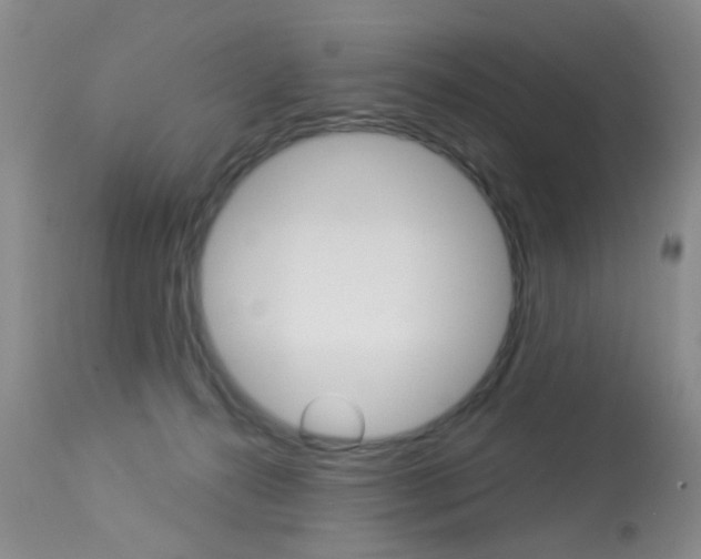 X0000113940272200909250946