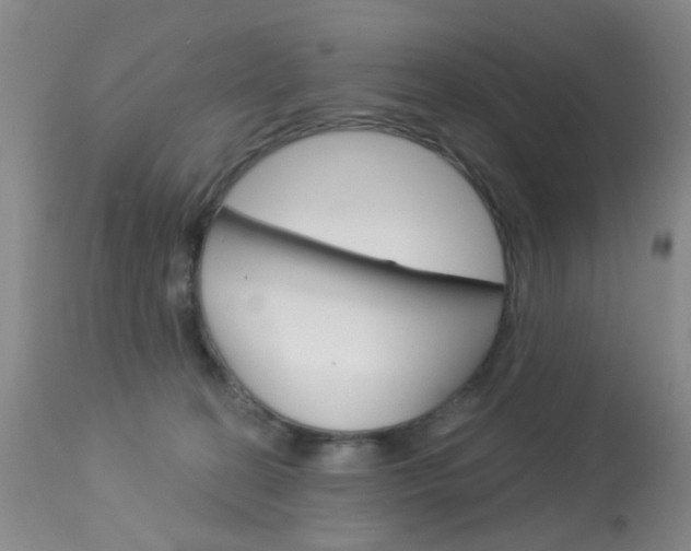 X0000113940274200909250946