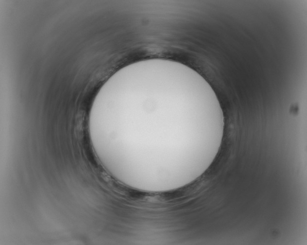 X0000113940275200909250946