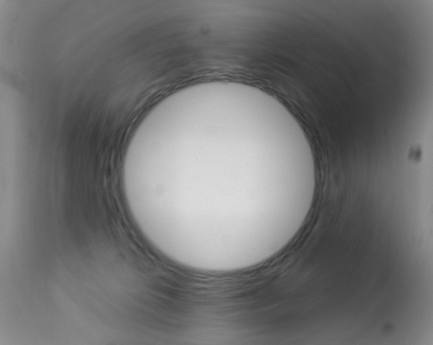 X0000113940276200909250946