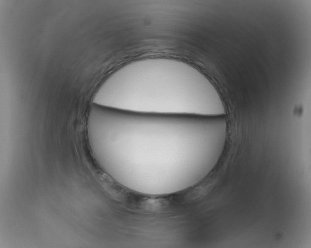 X0000113940277200909250946