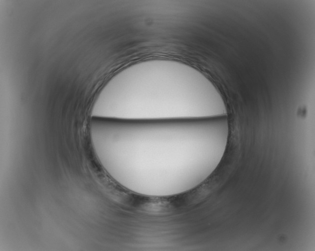 X0000113940278200909250946