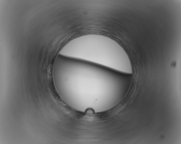 X0000113940280200909250946