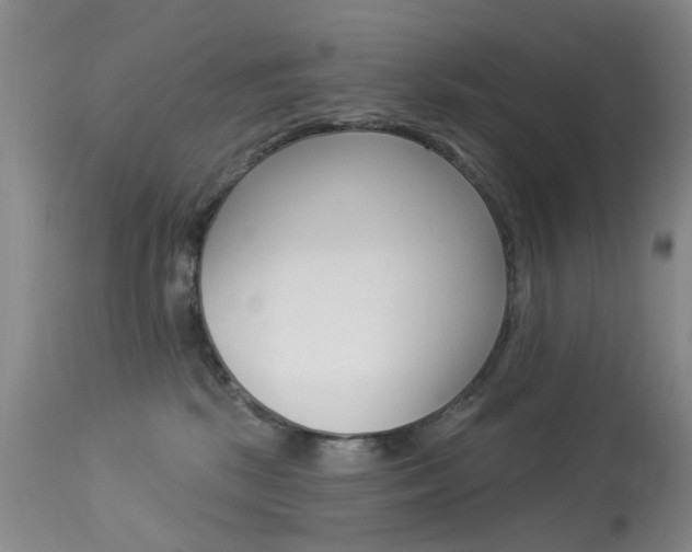X0000113940281200909250946