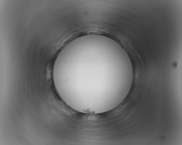 X0000113940282200909250946