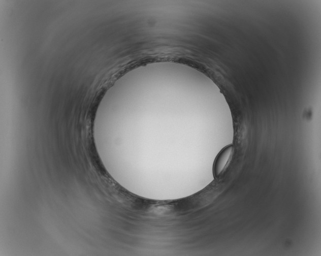 X0000113940283200909250946