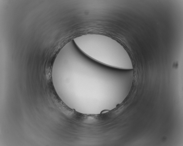 X0000113940285200909250946