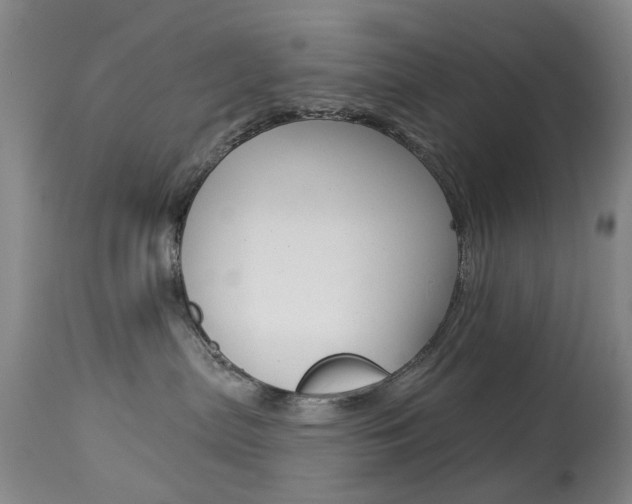 X0000113940287200909250946