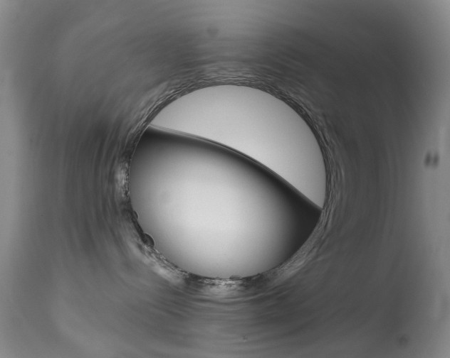 X0000113940288200909250946