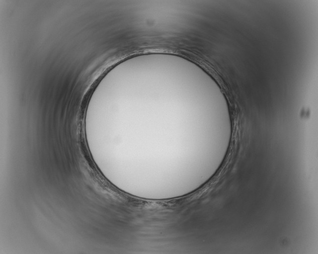 X0000113940290200909250946