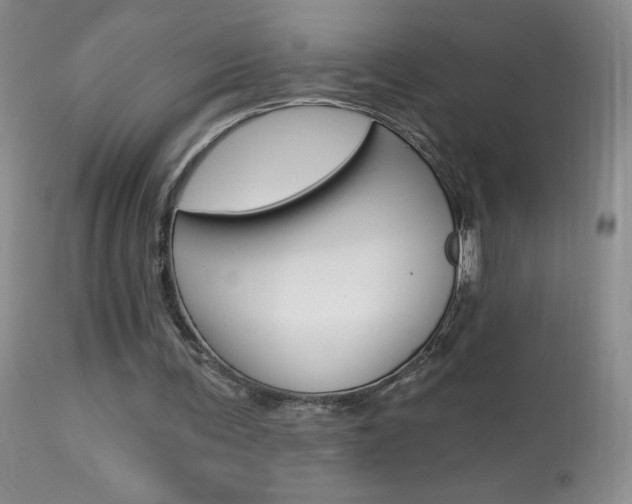 X0000113940291200909250946