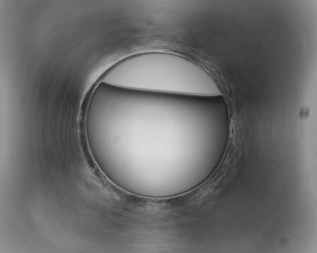 X0000113940292200909250946