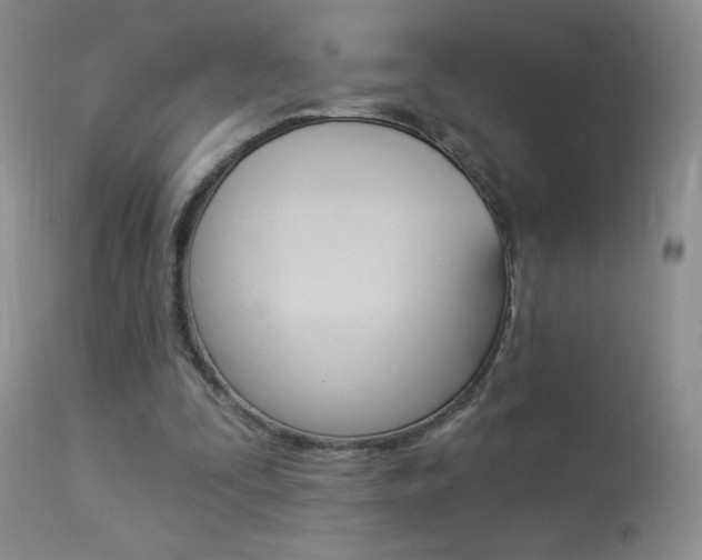 X0000113940295200909250946