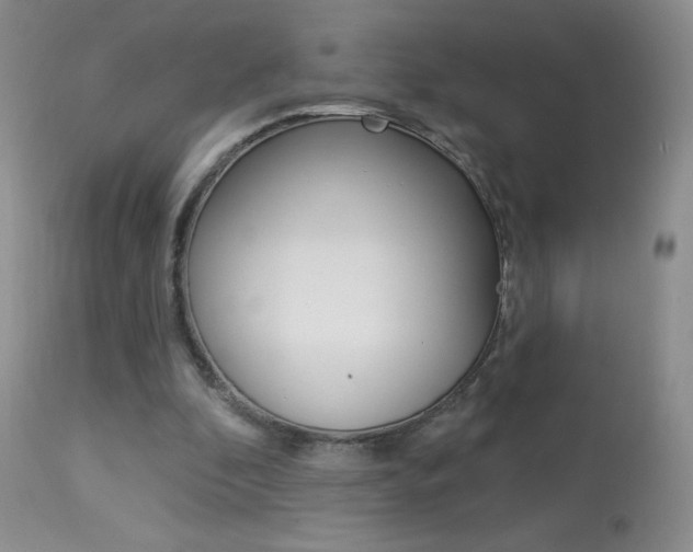 X0000113940296200909250946