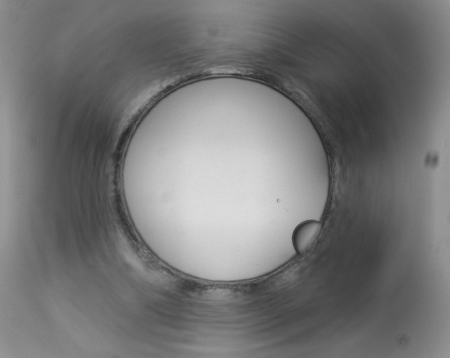 X0000113940298200909250946