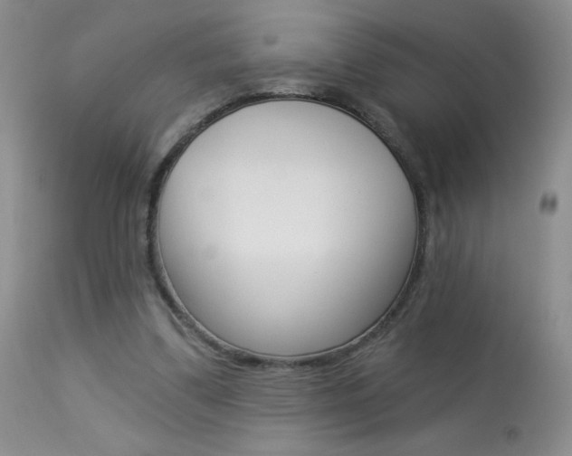 X0000113940299200909250946