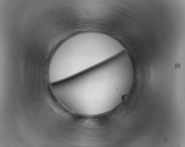 X0000113940303200909250946