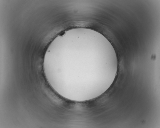 X0000113940305200909250946