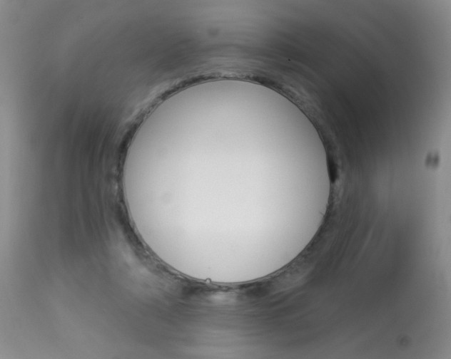 X0000113940306200909250946