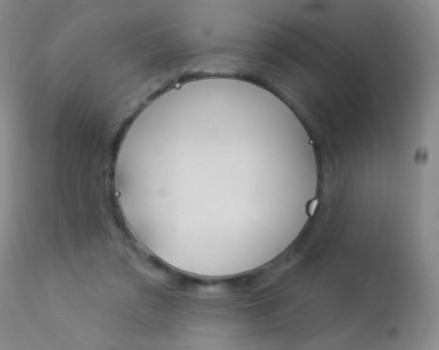 X0000113940309200909250945