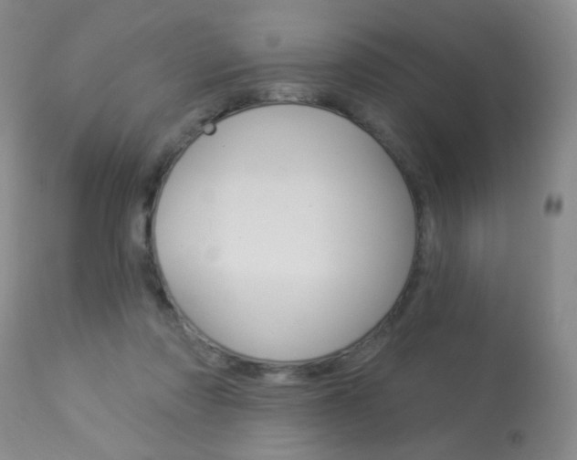 X0000113940310200909250945