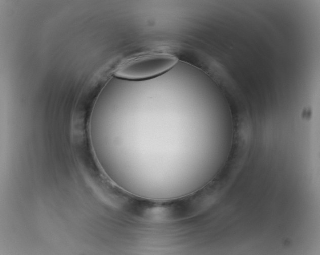 X0000113940312200909250945