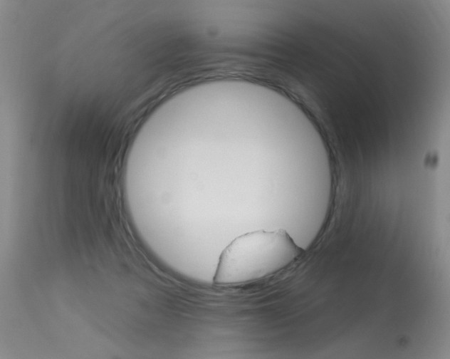 X0000113940313200909250945