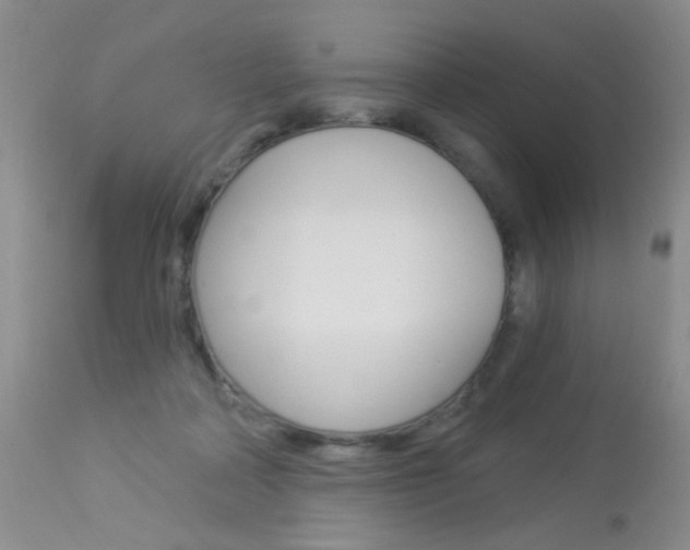 X0000113940314200909250945