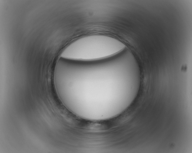 X0000113940315200909250945