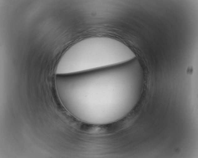 X0000113940319200909250945