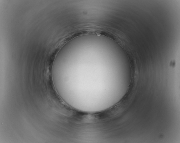 X0000113940320200909250945