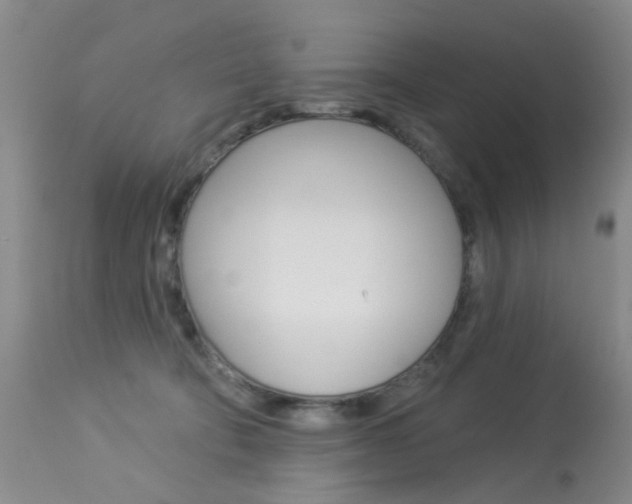 X0000113940322200909250945