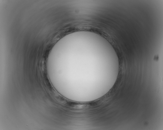 X0000113940323200909250945